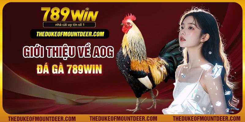 Giới thiệu về AOG đá gà 789Win