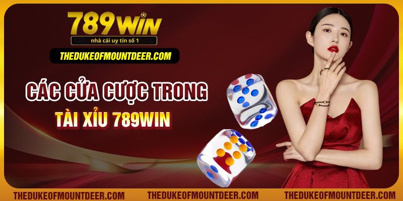 Các cửa cược trong tài xỉu 789Win