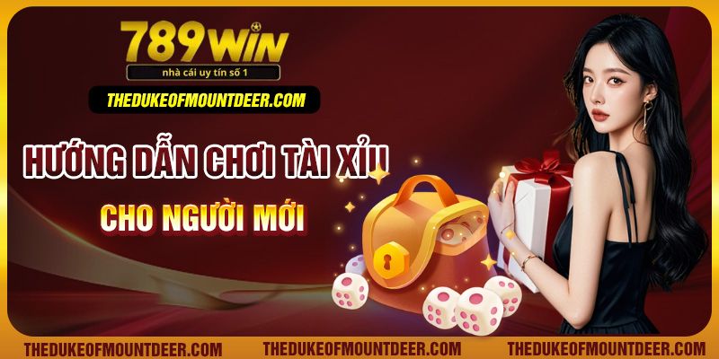 Chi tiết cách chơi tài xỉu 789Win cho người mới