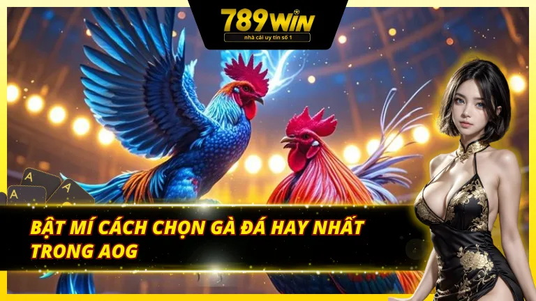 Cách chọn gà chiến hiệu quả tại AOG đá gà 789Win