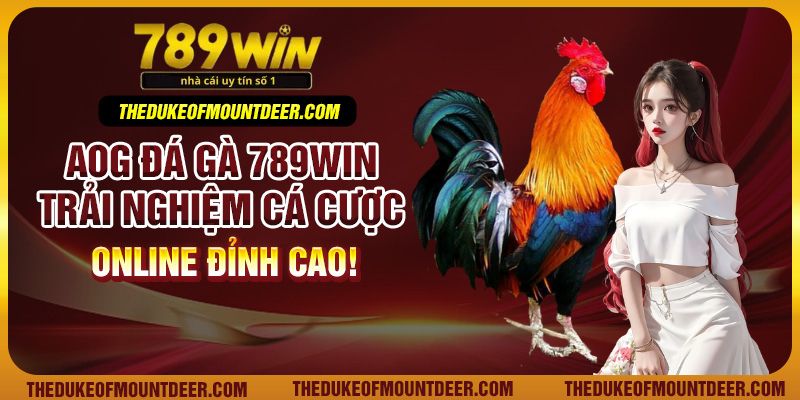 AOG Đá Gà 789Win