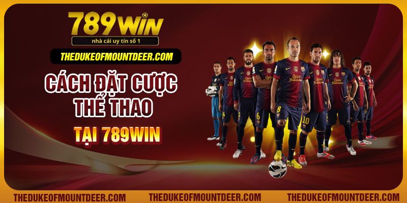 Cách đặt cược thể thao tại 789win