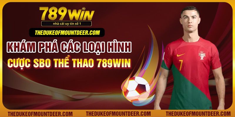 Khám phá các loại hình cược SBO thể thao 789Win