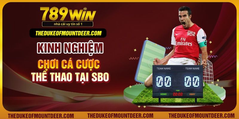 Kinh nghiệm chơi cá cược thể thao tại SBO