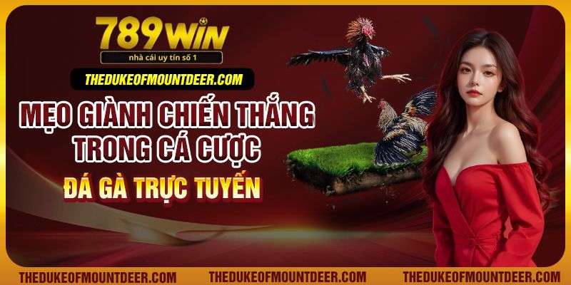 Mẹo giành chiến thắng trong cá cược đá gà trực tuyến