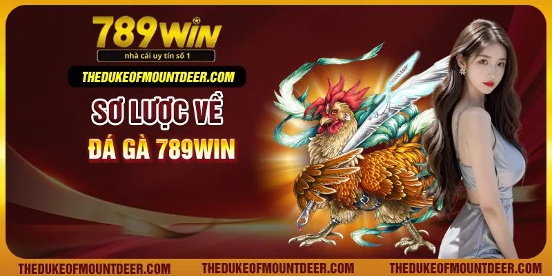 Sơ lược về đá gà 789Win