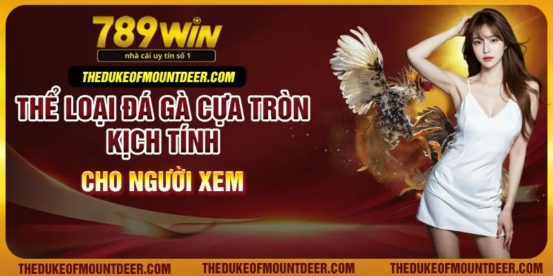 Thể loại đá gà cựa tròn kịch tính cho người xem