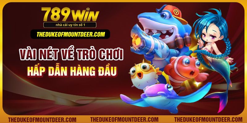 Vài nét về trò chơi hấp dẫn hàng đầu