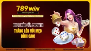 Xóc Đĩa 789Win
