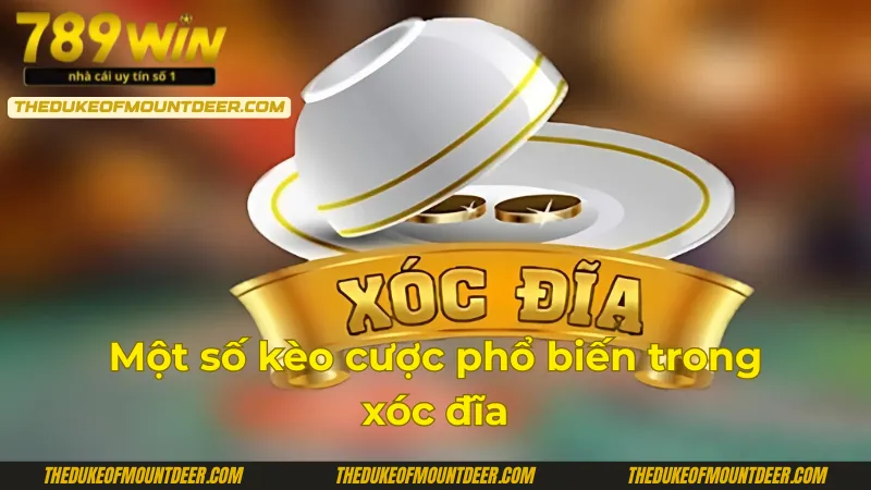 Hướng dẫn đặt cược xóc đĩa